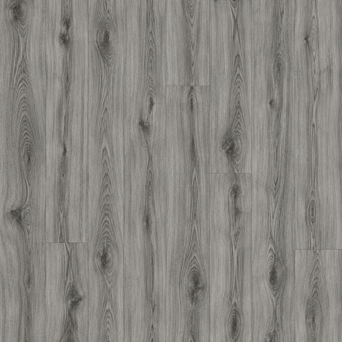 ArmorCore Glacier Ash Flooring featuring cool glacier-grey ash wood grain with authentic embossed texture and a premium matte finish.