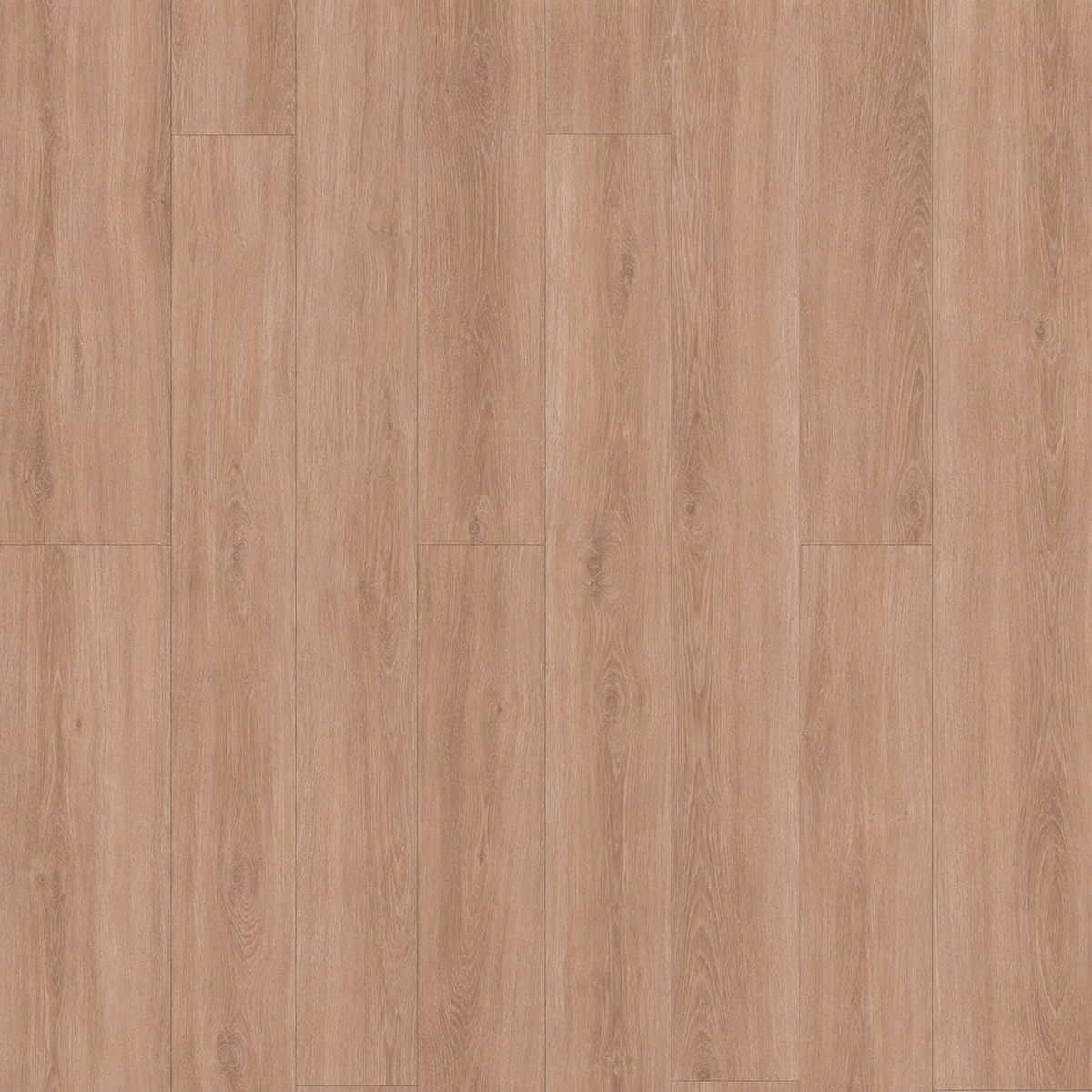 ArmorCore Verona Walnut Flooring featuring elegant European walnut wood design with authentic embossed texture.